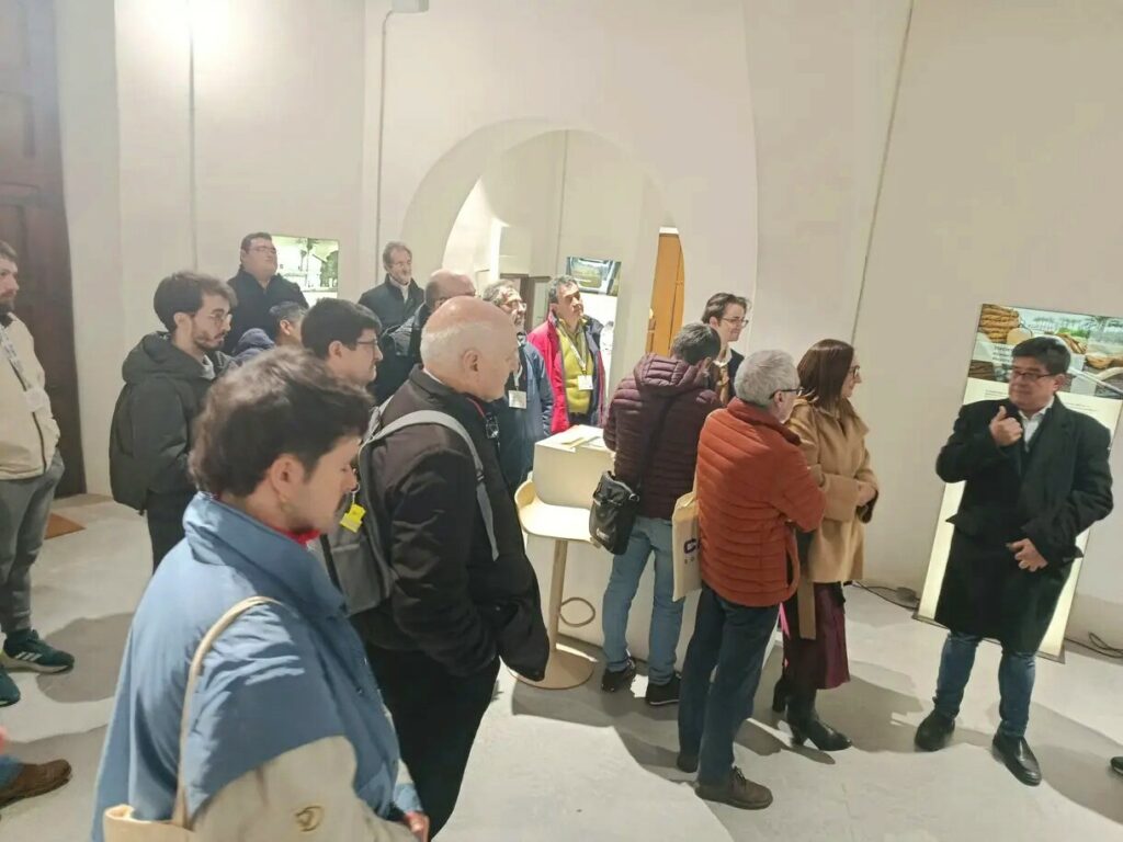 1000151808-1024x768 Participación en el Congreso Bienal de la Real Sociedad Matemática Española de la Universidad de Alicante