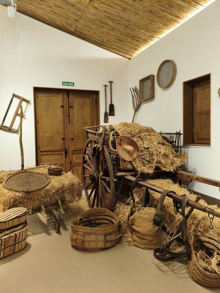 1000177362-768x1024 Visita a la Casa Museo del Huerto de los Pontos y al Museo Escolar de Puçol